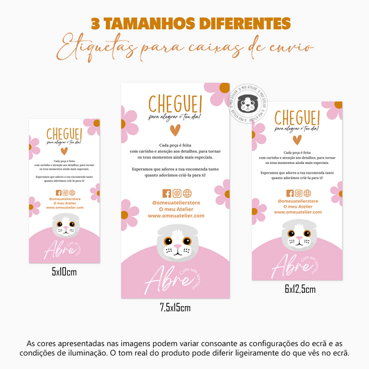 Etiquetas Adesivas Personalizadas - Selagem de Caixas e Sacos de Envios